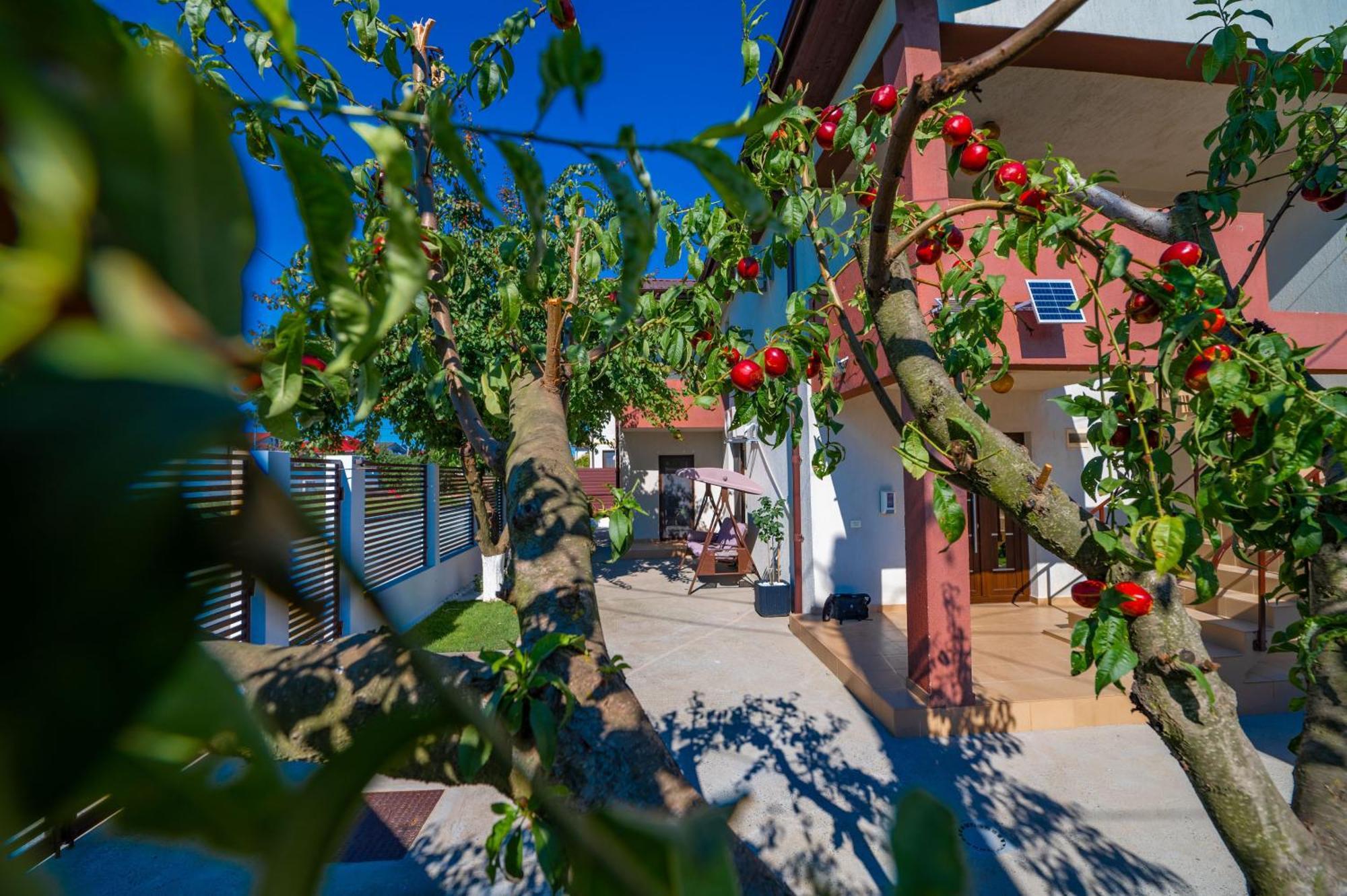 Pensiunea Voicu Eforie Nord Esterno foto